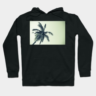 Palm tree against sky low angle point of view monochrome faded image. Hoodie